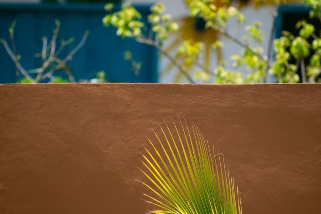 Disfruta En La Casa De Lola / Enjoy At Lolas House โปรเกรโซ ภายนอก รูปภาพ