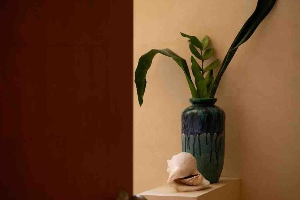 Disfruta En La Casa De Lola / Enjoy At Lolas House โปรเกรโซ ภายนอก รูปภาพ
